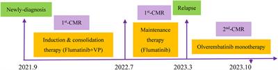 Case report: Olverembatinib monotherapy: the chemotherapy-free regimen for an elderly patient with relapsed Ph-positive acute lymphoblastic leukemia